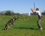Nash_afstand_130908